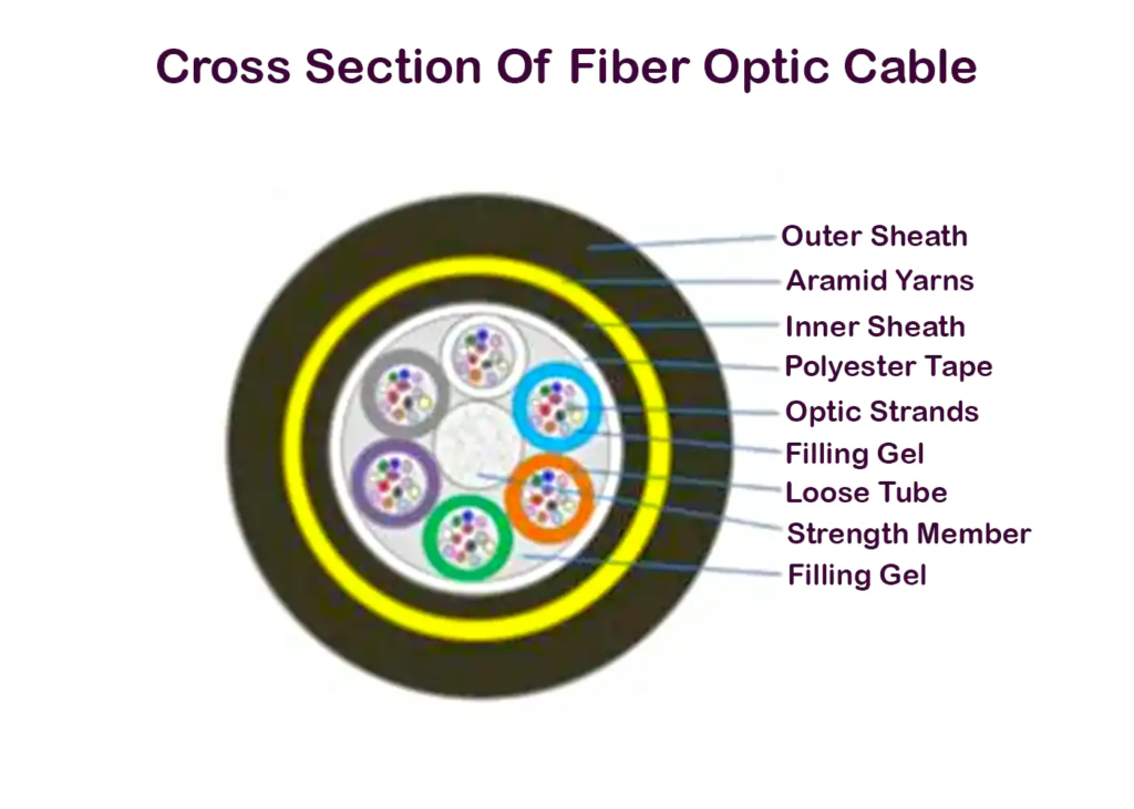 d2a54651-5aca-48a1-8a13-b9df5a42cda0